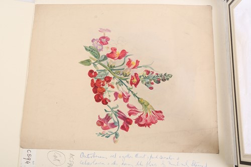 Lot 79 - 'The Stannard Folder', a large collection of...