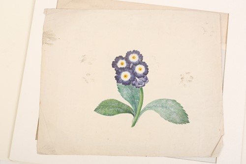 Lot 79 - 'The Stannard Folder', a large collection of...