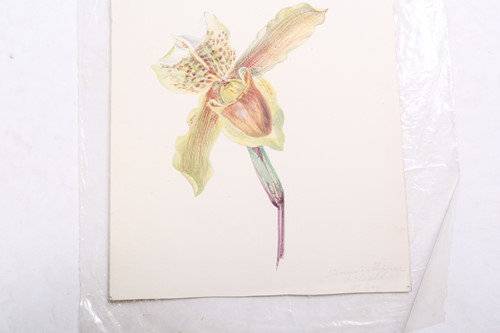 Lot 79 - 'The Stannard Folder', a large collection of...
