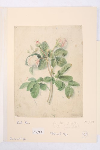 Lot 65 - Emily Stannard (1803-1885), [known as 'Mrs...