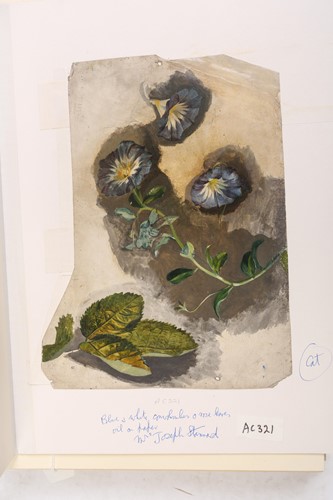 Lot 65 - Emily Stannard (1803-1885), [known as 'Mrs...