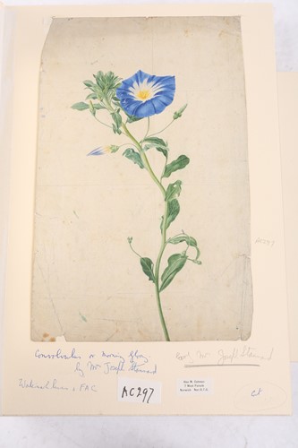 Lot 65 - Emily Stannard (1803-1885), [known as 'Mrs...