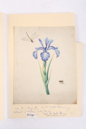 Lot 65 - Emily Stannard (1803-1885), [known as 'Mrs...