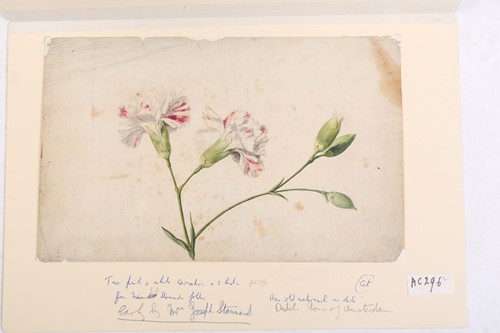 Lot 65 - Emily Stannard (1803-1885), [known as 'Mrs...