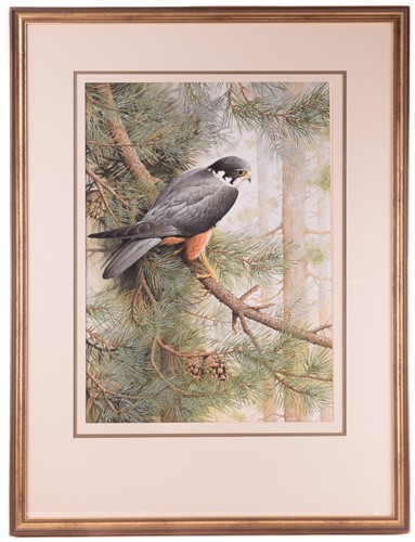 Lot 39 - Terance James Bond (b.1946) British, 'Eurasian...