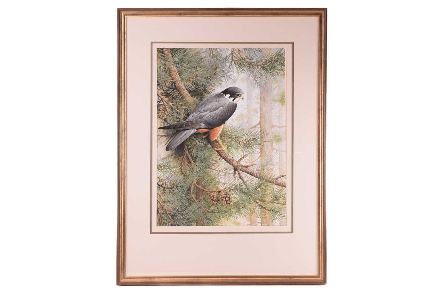 Lot 39 - Terance James Bond (b.1946) British, 'Eurasian...