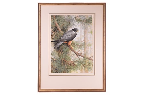 Lot 39 - Terance James Bond (b.1946) British, 'Eurasian...