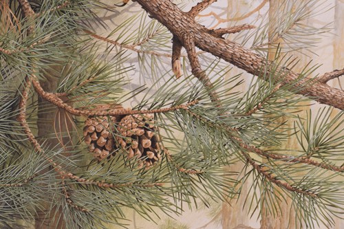 Lot 39 - Terance James Bond (b.1946) British, 'Eurasian...