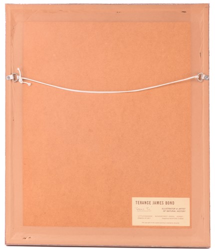 Lot 7 - Terance James Bond (b.1946) British, four...