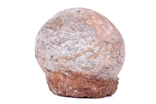 Lot 298 - A fossilised dinosaur egg, in a red stone base,...