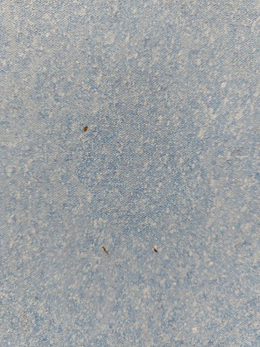 Lot 84 - Antony Donaldson (b.1939), Lindsay Fairing...