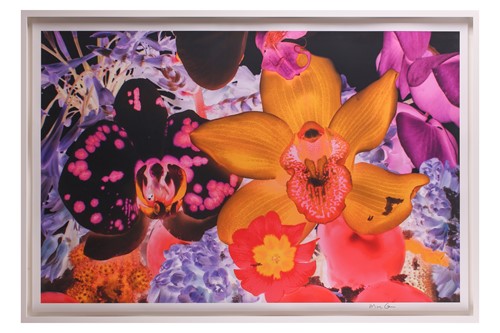 Lot 42 - Marc Quinn (b.1964), 'At the Far Edges of the...