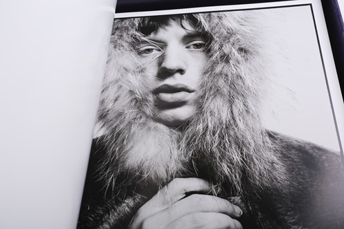 Lot 317 - The Rolling Stones edited by Reuel Golden,...