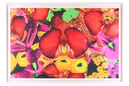 Lot 52 - Marc Quinn (b. 1964), 'At the Far Edges of the...