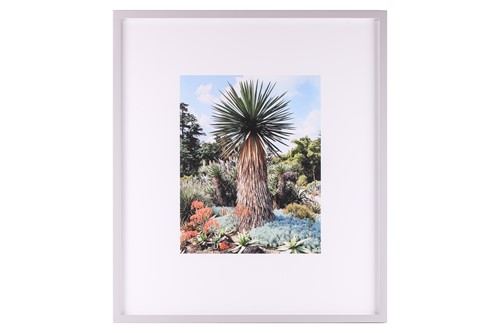 Lot 65 - Scott McFarland (b. 1975) Canadian, Yucca...