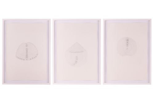 Lot 93 - Pak Keung Wan, Untitled #2,#3,#4, 2007, pencil...