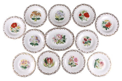 Lot 180 - A probably Davenports of Longport "Botanical"...