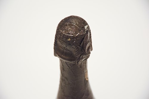 Lot 61 - Two Bottles of Dom Perignon, 1990, 12.5%, 750ml