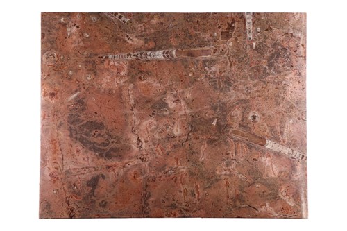 Lot 118 - A large rectangular well figured fossil marble...