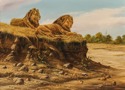 Lot 17 - Andrew Bone (Zimbabwean, b. 1957), Pair of...
