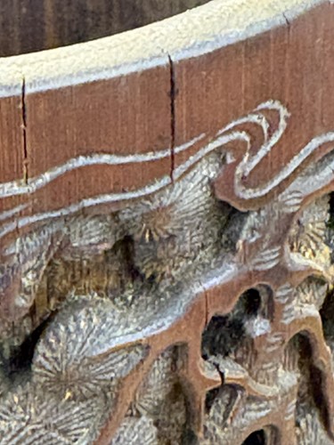 Lot 64 - A Chinese bamboo section Bitong, hook carved...