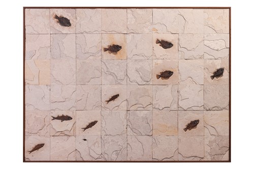 Lot 157 - A very large fossil tile plaque, Eocene period,...