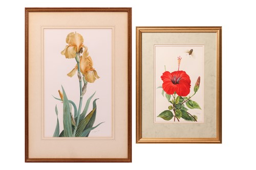 Lot 11 - Glyn Morgan (British 1926 - 2015) Study of...