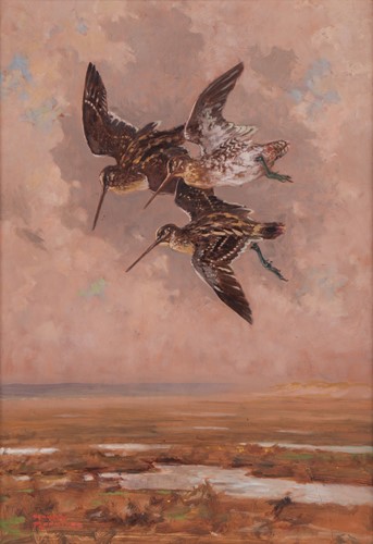 Lot 88 - Harry Rountree (British 1878-1950) Snipe in...