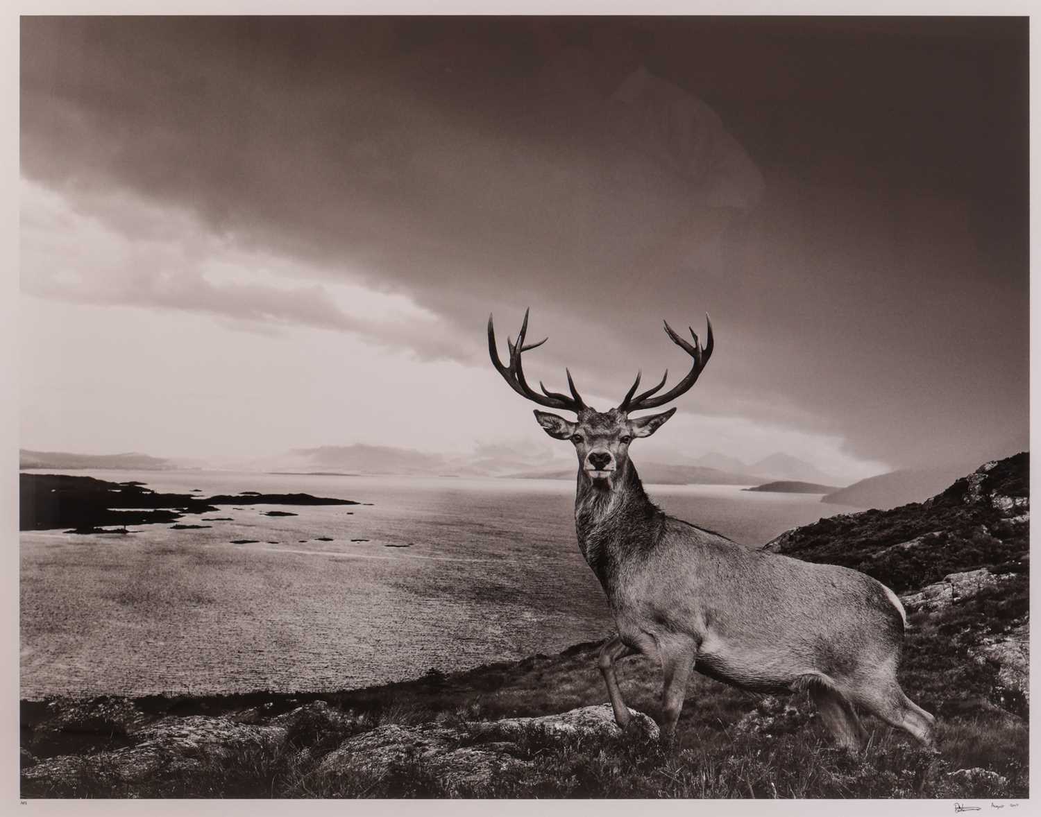 Lot 110 - David Yarrow (British b.1966) Over The Sea to...