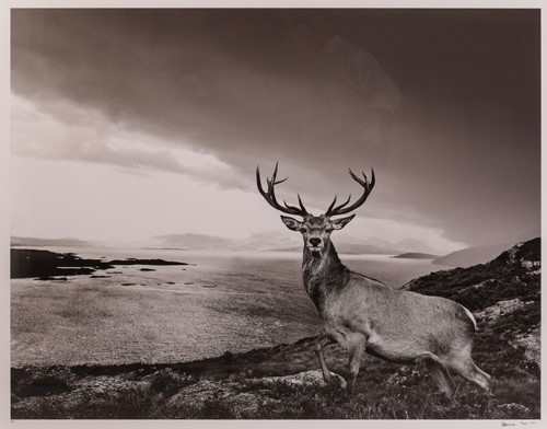 Lot 110 - David Yarrow (British b.1966) Over The Sea to...