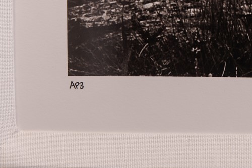 Lot 110 - David Yarrow (British b.1966) Over The Sea to...