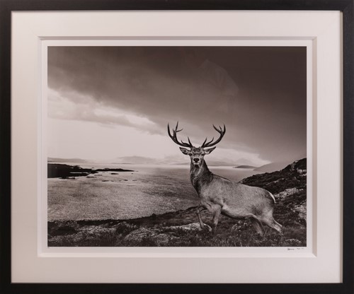 Lot 110 - David Yarrow (British b.1966) Over The Sea to...