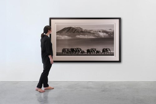 Lot 100 - David Yarrow (British b.1966) Walk the Line II...