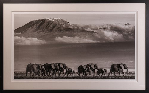 Lot 100 - David Yarrow (British b.1966) Walk the Line II...