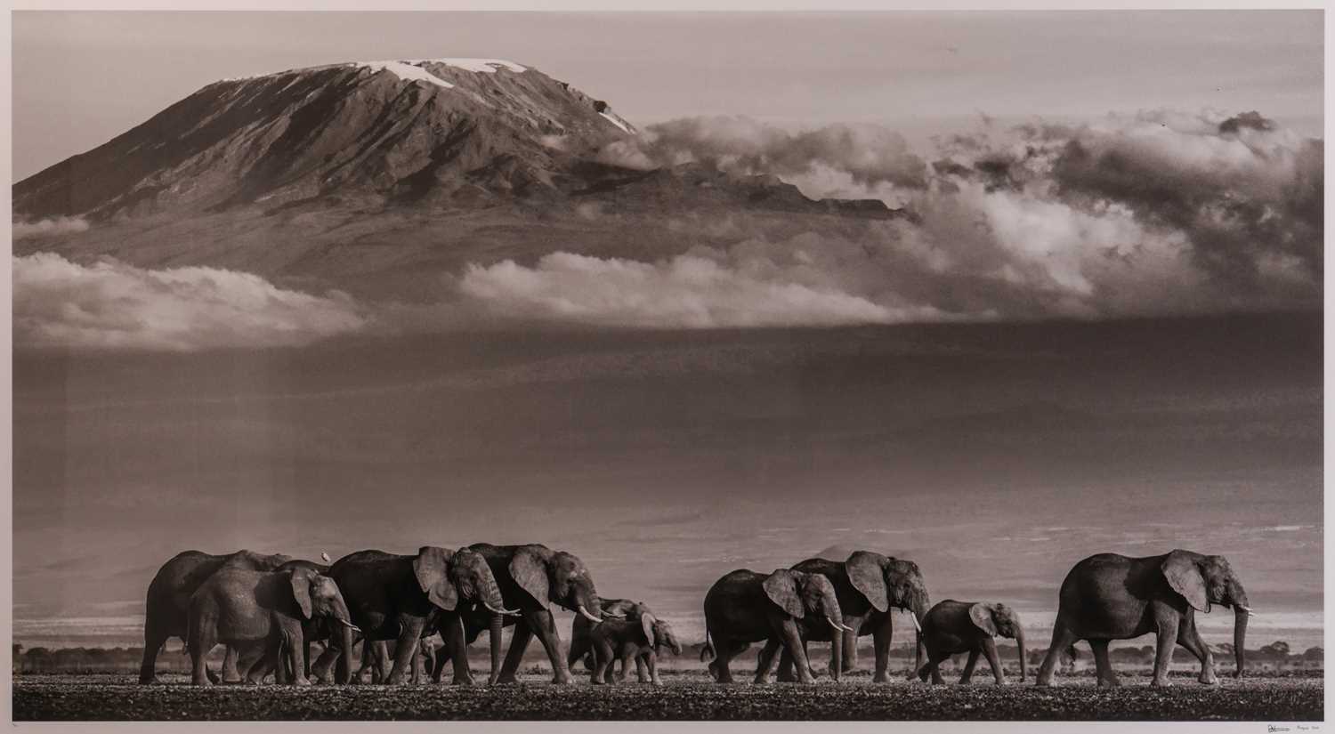 Lot 100 - David Yarrow (British b.1966) Walk the Line II...