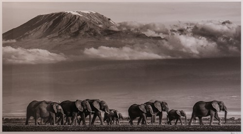 Lot 100 - David Yarrow (British b.1966) Walk the Line II...
