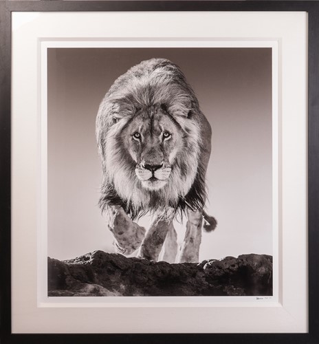 Lot 42 - David Yarrow (British b.1966) Genesis (2017)...