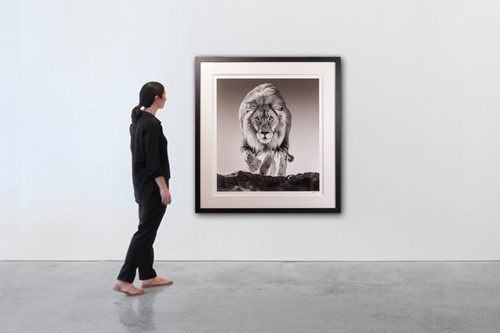 Lot 42 - David Yarrow (British b.1966) Genesis (2017)...