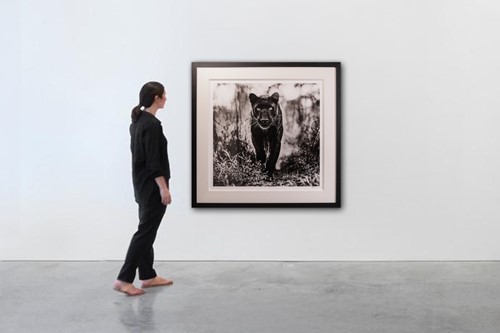 Lot 103 - David Yarrow (British b.1966) The Superhero...