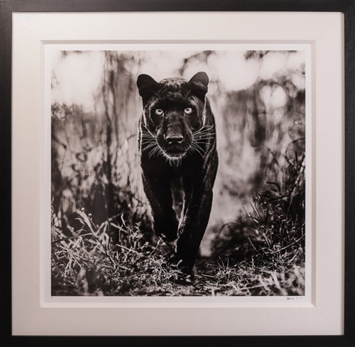Lot 103 - David Yarrow (British b.1966) The Superhero...