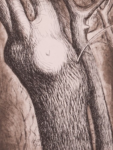 Lot 76 - Henry Moore (British 1898-1986) Trees (1979) -...