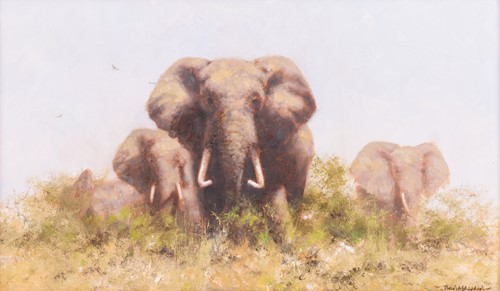 Lot 14 - David Shepherd (British 1931-2017) Herd of...