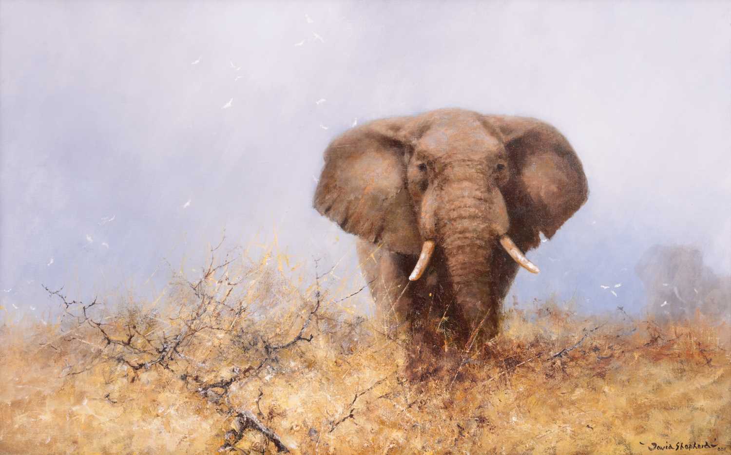 Lot 16 - David Shepherd (British 1931-2017) Bull...