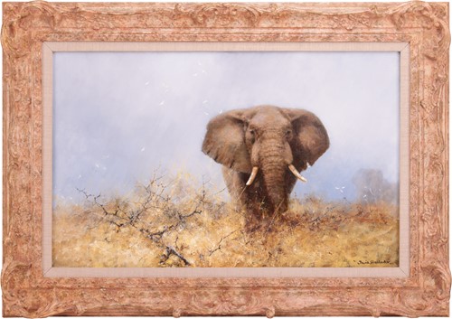 Lot 16 - David Shepherd (British 1931-2017) Bull...
