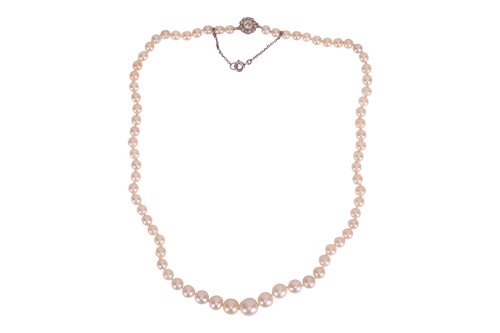 Lot 27 - An Edwardian natural saltwater pearl necklace,...