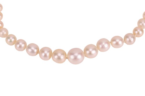 Lot 27 - An Edwardian natural saltwater pearl necklace,...